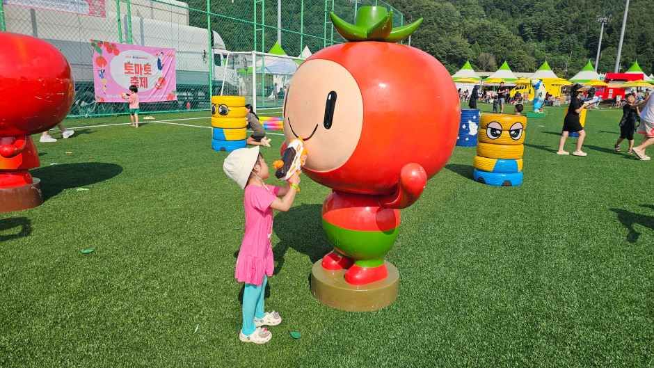 둔내고랭지토마토축제 - 강원 축제