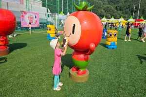 둔내고랭지토마토축제