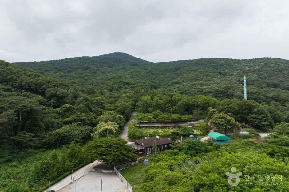 낭만에코파크 사진 7