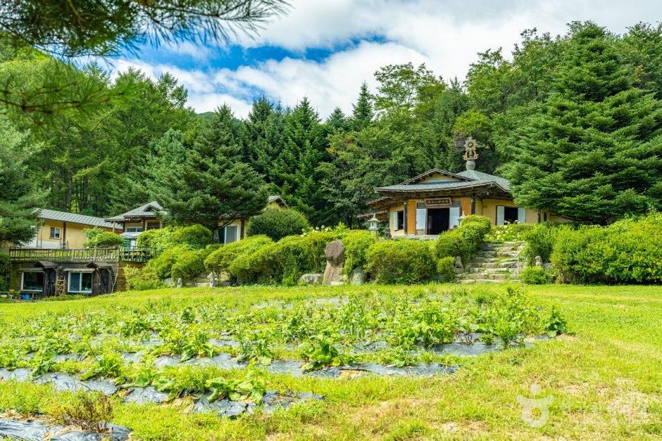 강원_원주시_치악산 명주사 (1).jpg