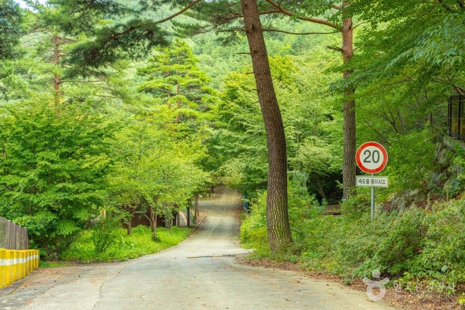 국립검봉산자연휴양림 야영장
