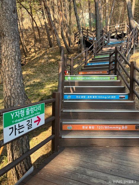 거창_우두산 출렁다리(거창 Y자형 출렁다리) (2).jpg