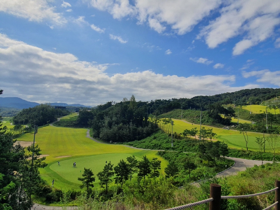 パラジオCC