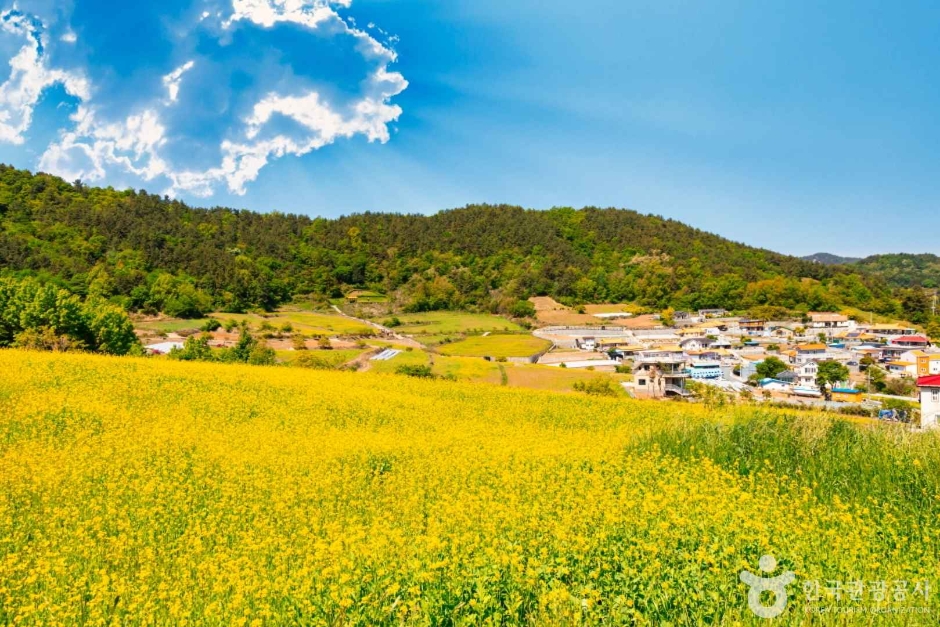 仙鹤洞村
