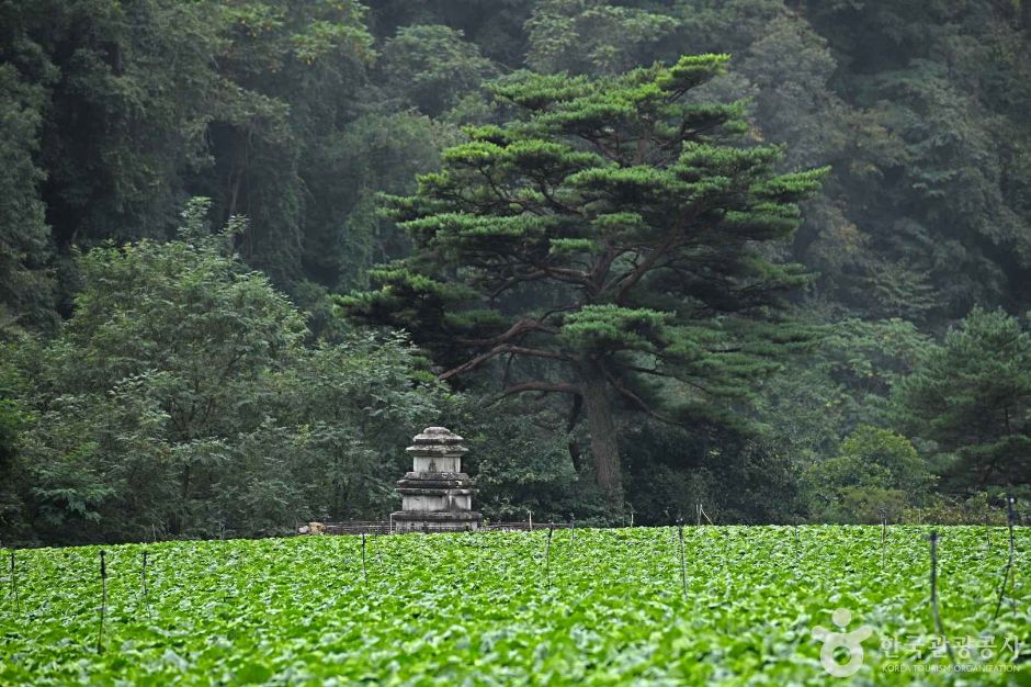 平昌水港里寺址