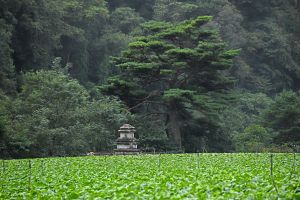 평창 수항리사지