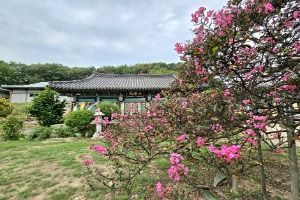 해봉사(포항) 사진 6