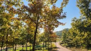 [시흥 늠내길 4코스] 바람길