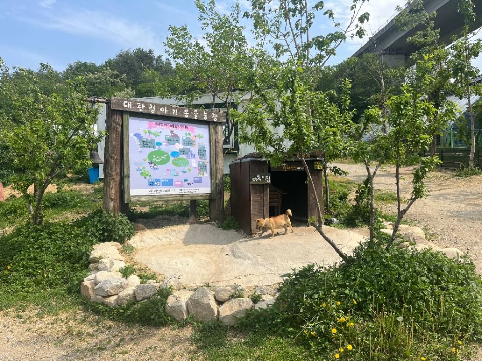大関嶺赤ちゃん動物農場