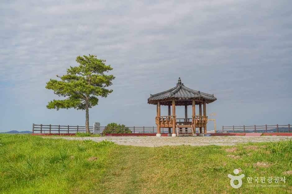 Saemangeum Trail