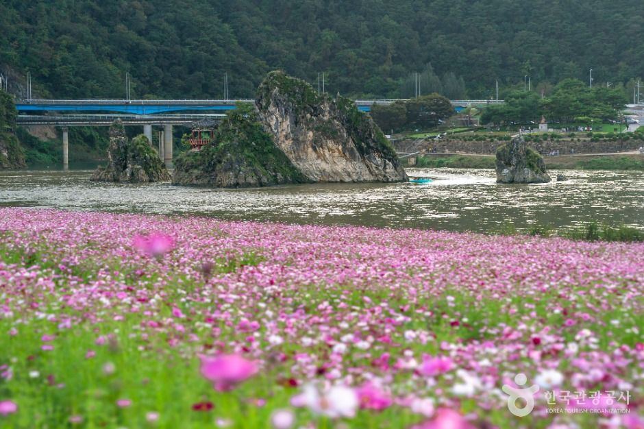 ドダム庭園