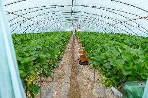 3577218 image3 1 예스키즈존 탐험대 : 실패 없는 육아여행