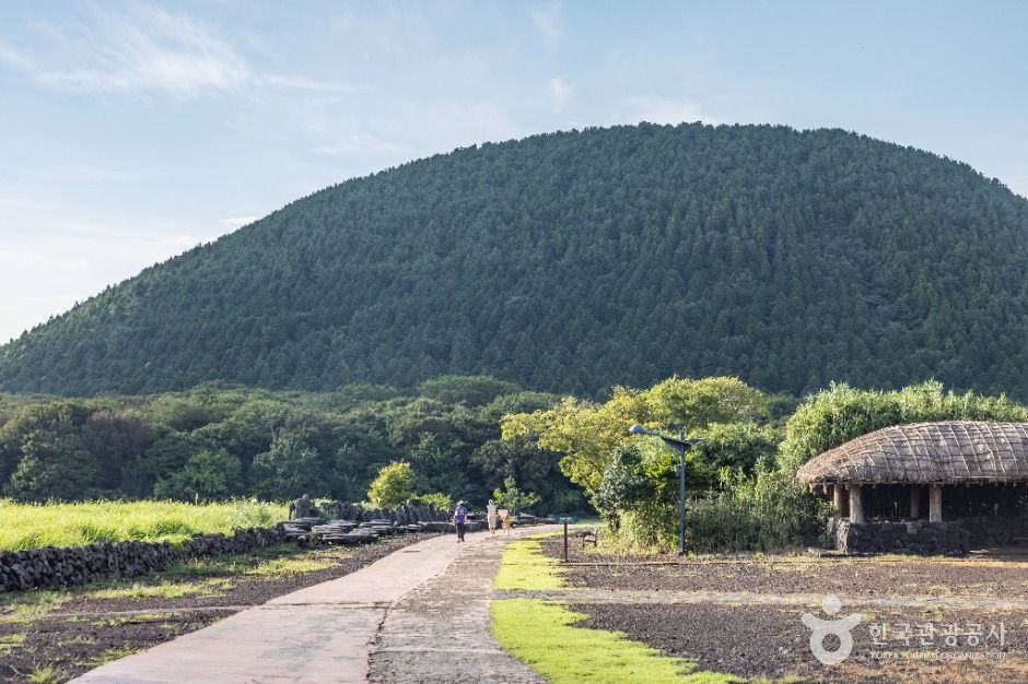 橋来 サムダス村