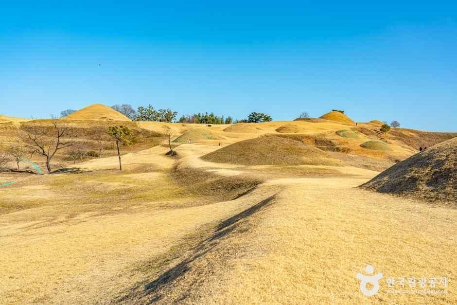 함안_아라가야 고분군 (3).jpg