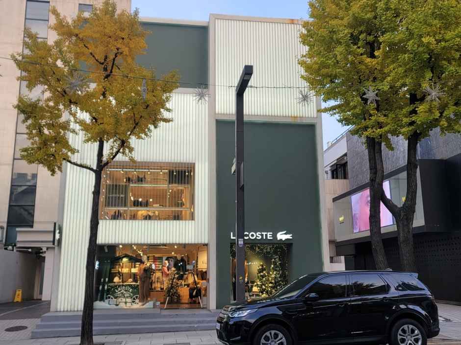 라코스테 가로수길직영멀티점