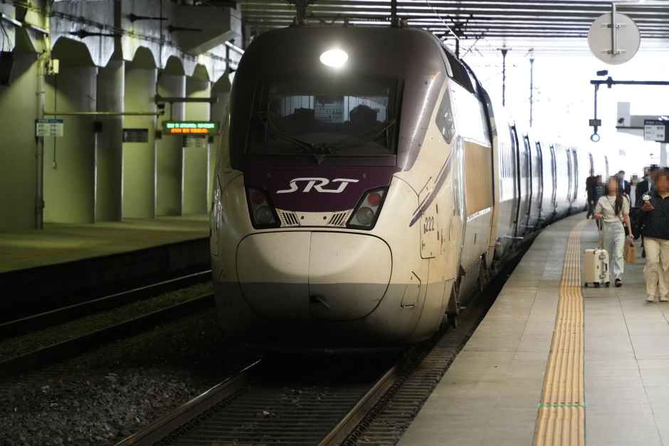 様々な列車が乗り入れる東大邱駅