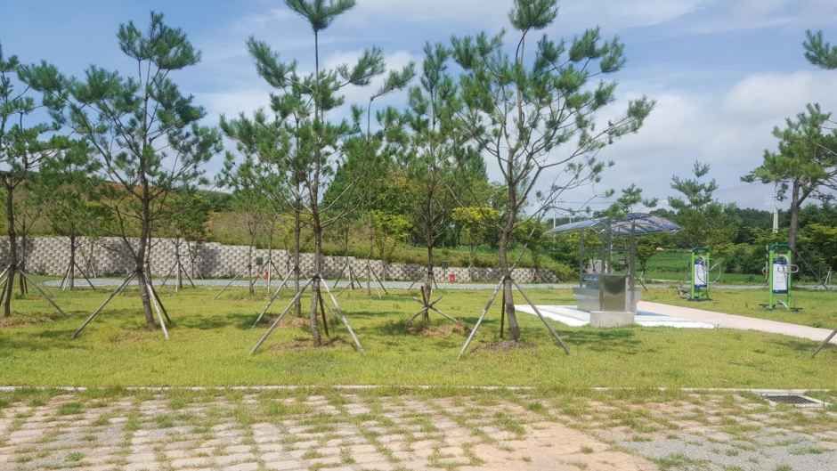 보성 어울마당 야영장
