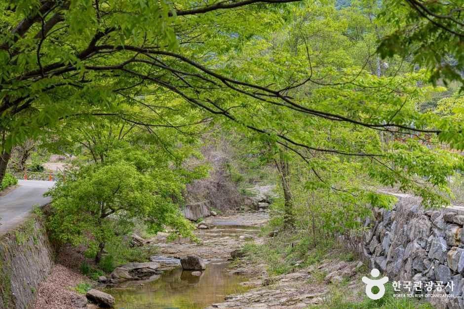괴산 도명산 오토캠핑장