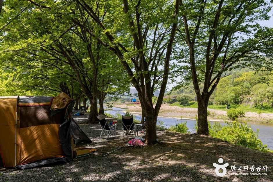 써니밸리캠핑장