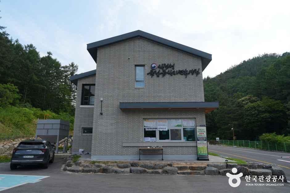 국립금산자연휴양림