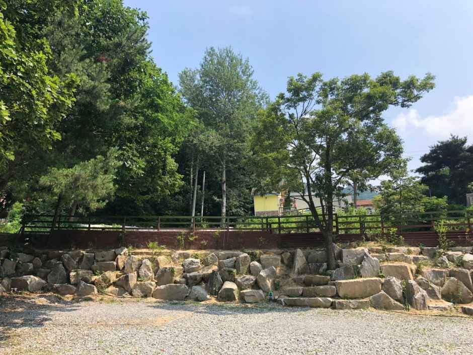 용인둥지골캠핑장