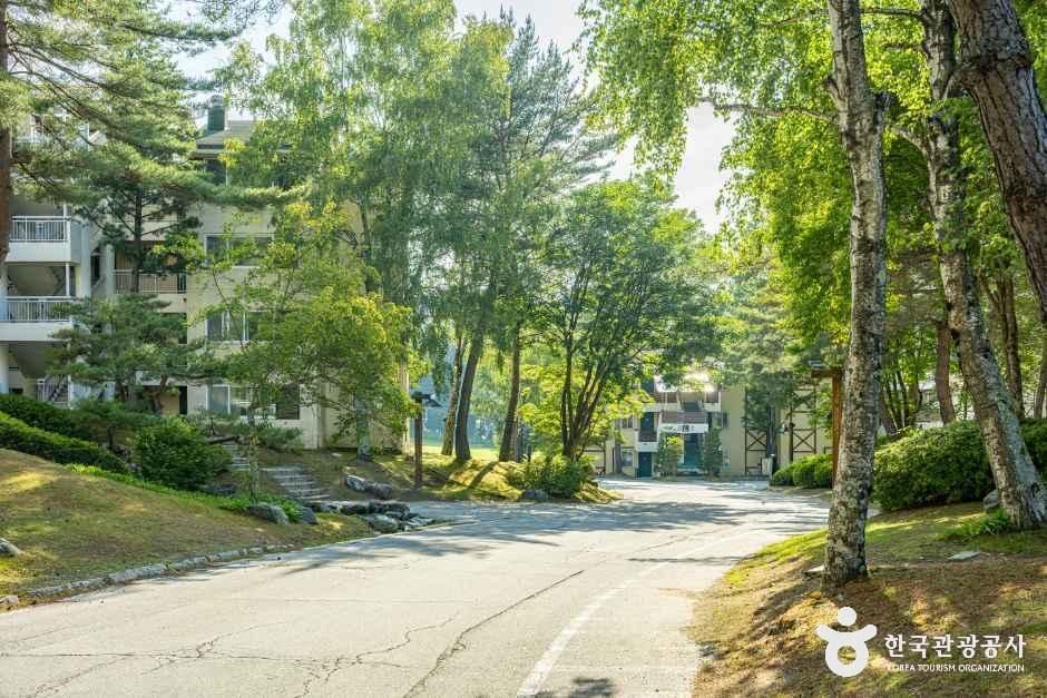 모나용평 빌라콘도