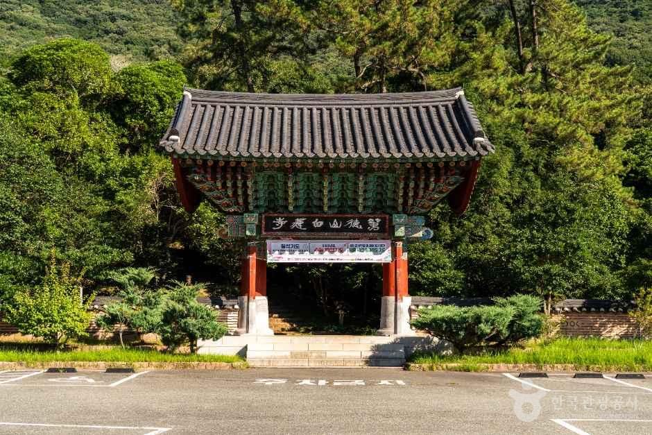 白蓮寺（康津）（백련사（강진））