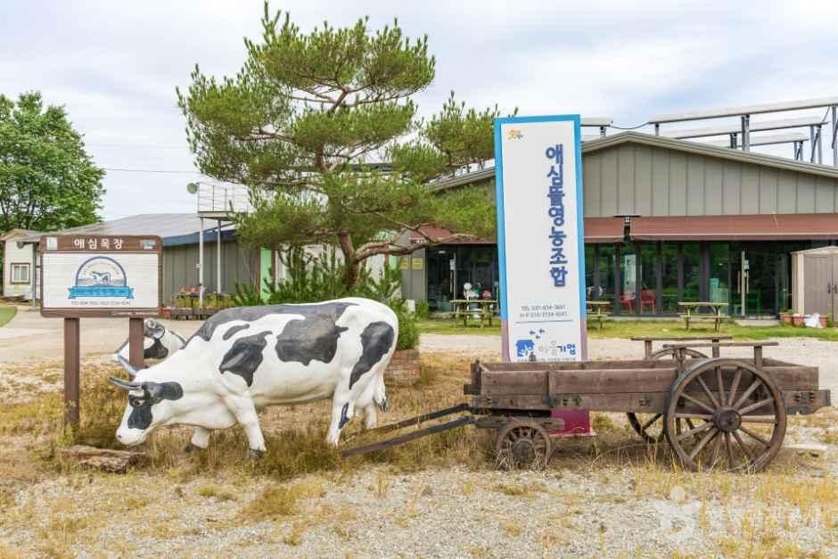 애심목장