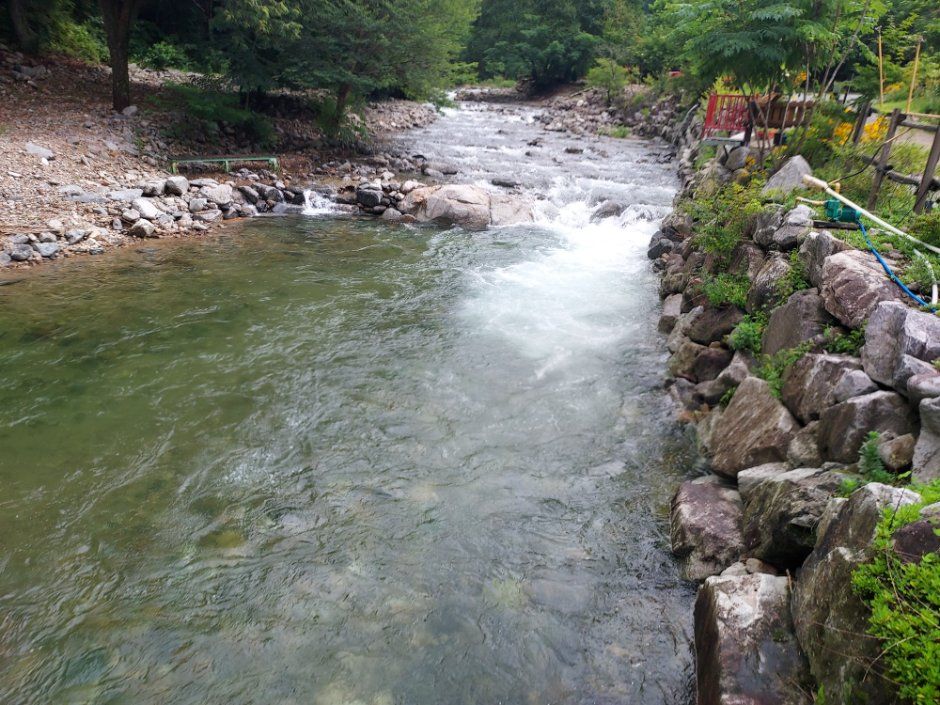 횡성산울림오토캠핑장 사진 4