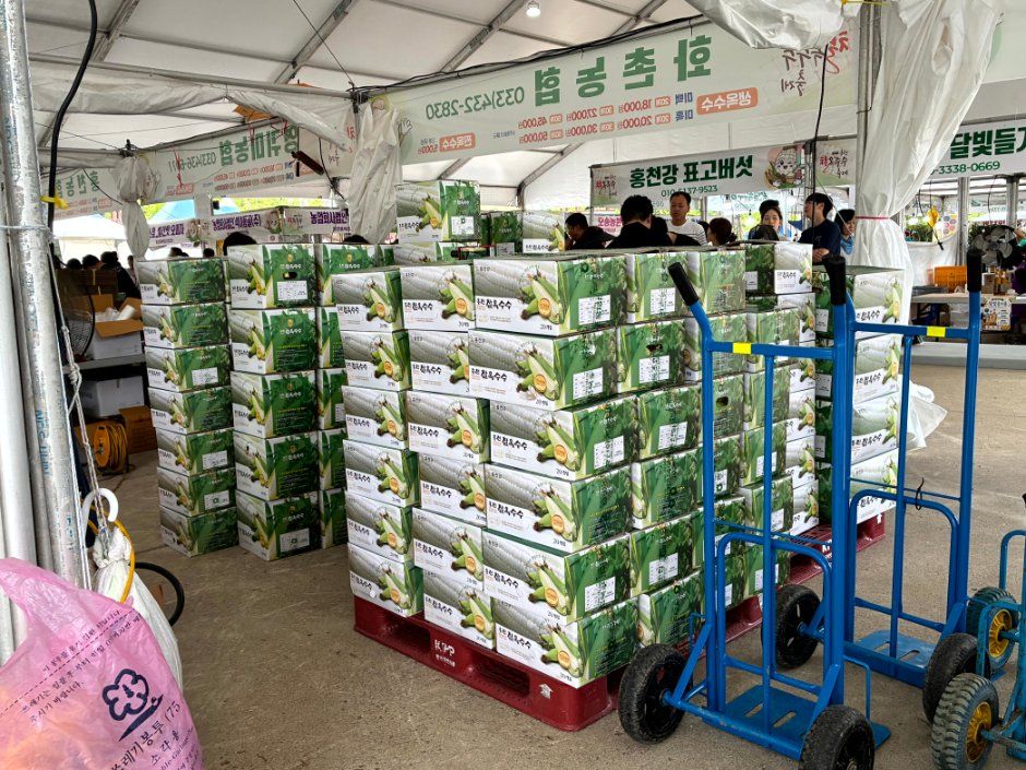Hongcheon Waxy Corn Festival