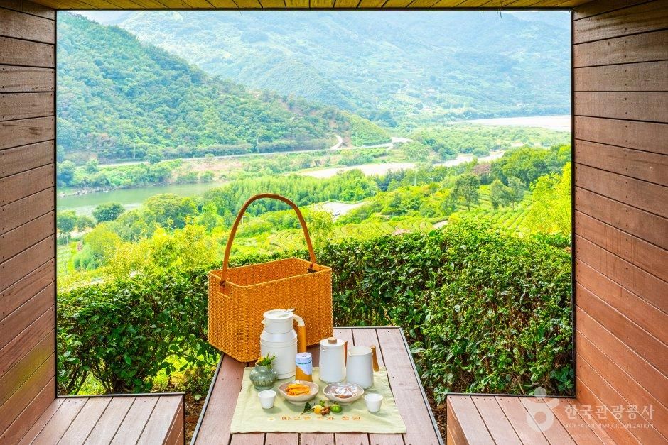 따신골 녹차정원