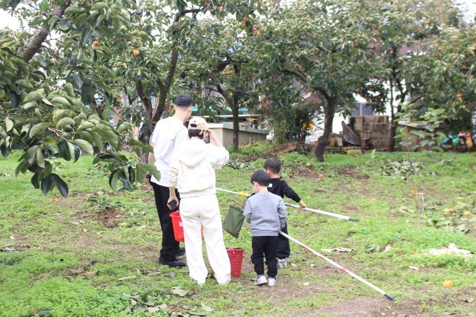 청도반시축제 사진 8