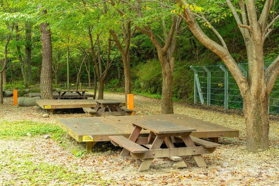 국립검봉산자연휴양림 야영장
