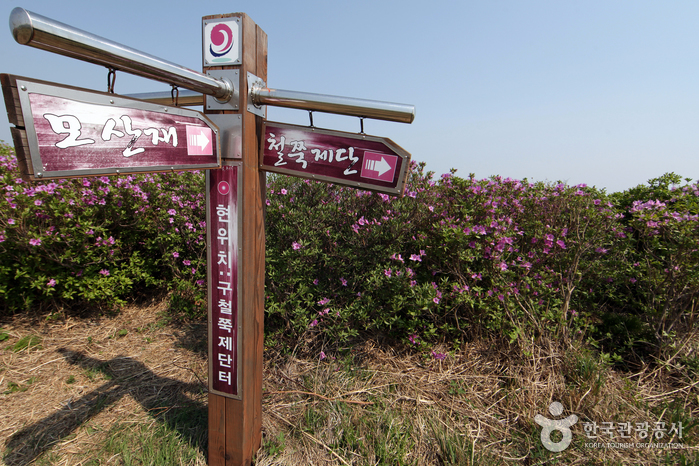 황매산(산청) 황매산(산청)