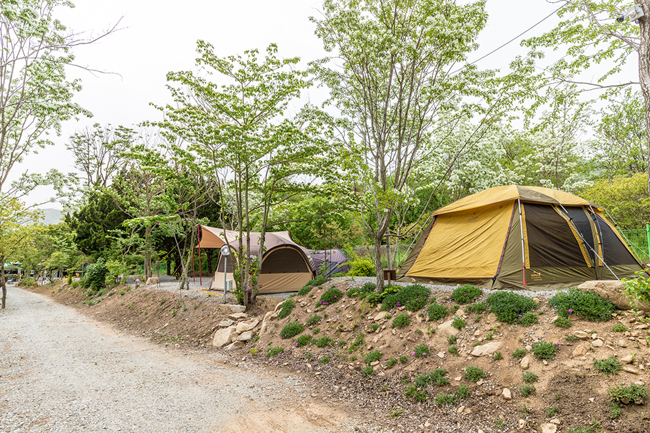 伽耶山キャンプ場