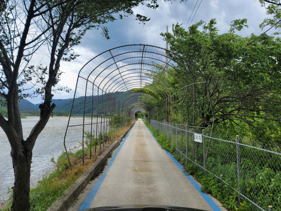 [江原平和ヌリ サイクルロード 15コース] 麟蹄 北面の道