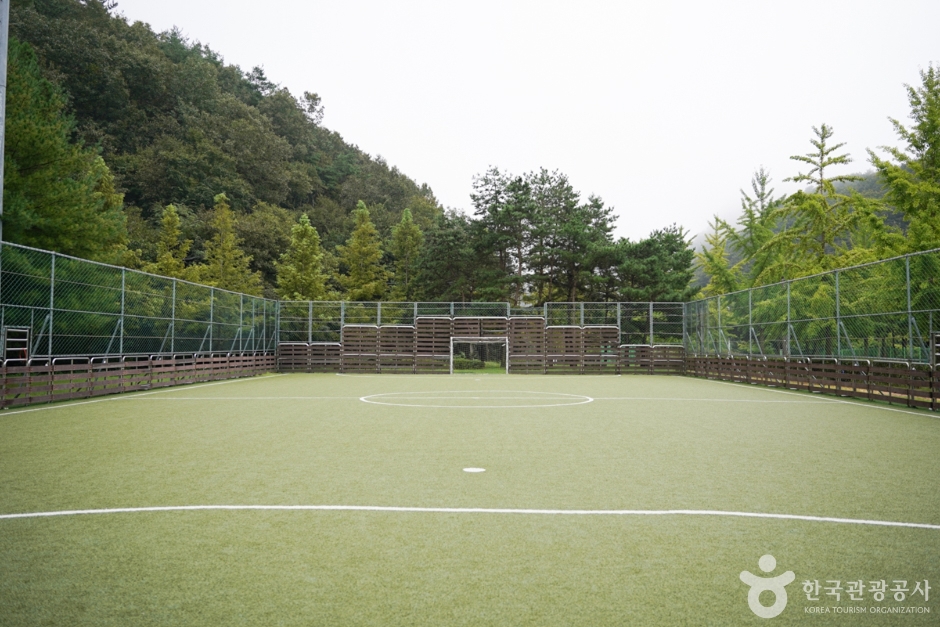 화랑체육공원