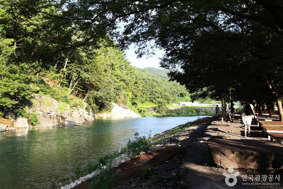 宇川森の水遊び場