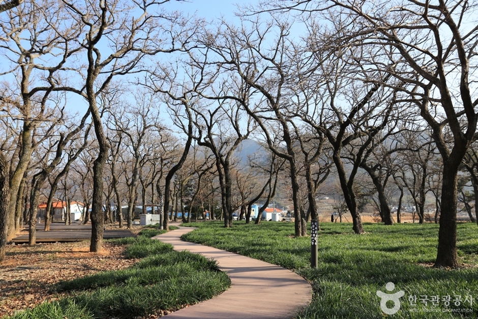 鹦江多森村