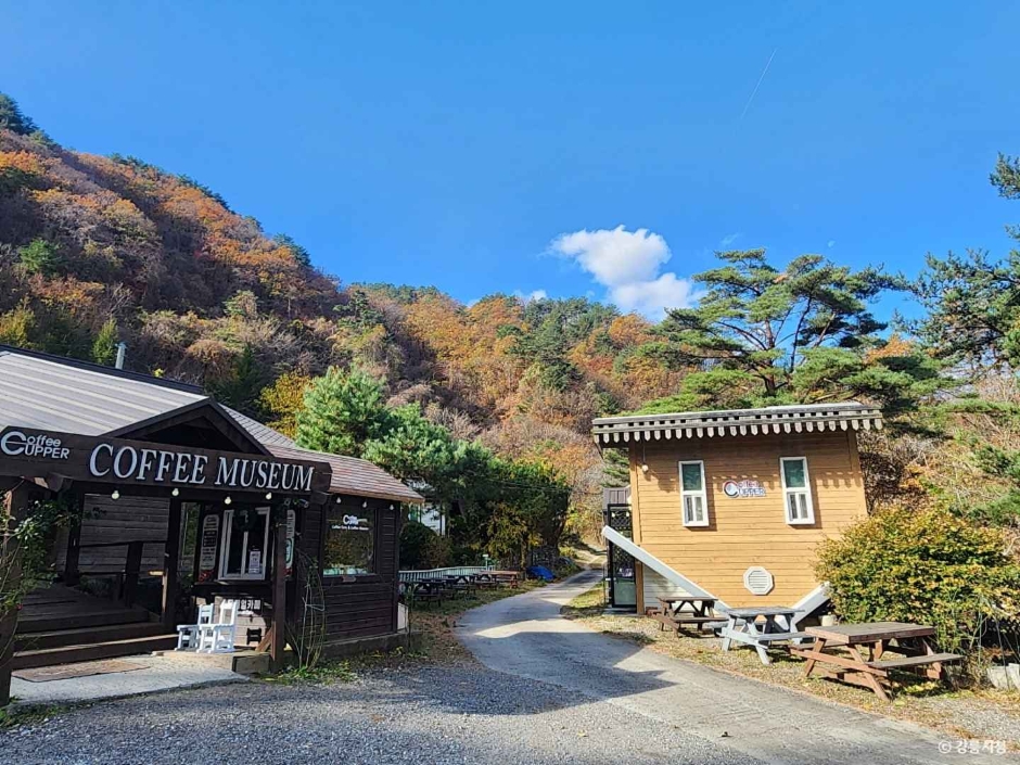 江陵コーヒー博物館