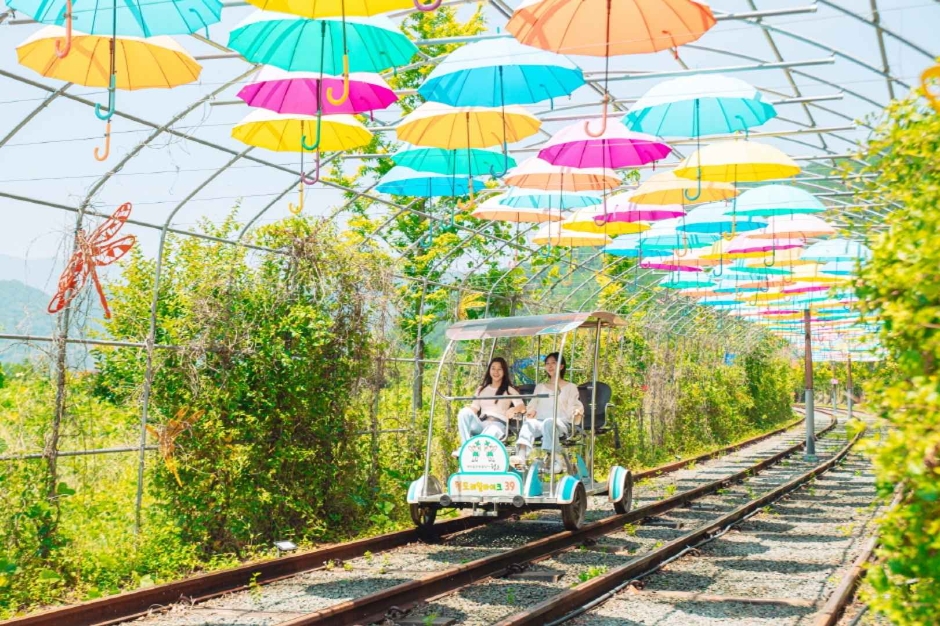 청도_청도 레일바이크 (1)