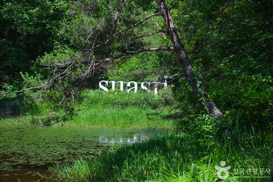 Vanastha（疗愈蔚州）