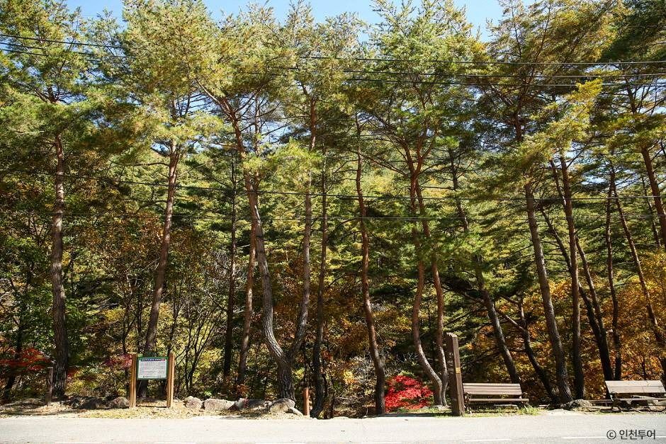 国立 加里王山自然休養林