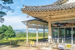 충주_충주 탄금대와 탄금대공원 (3) 미리보기