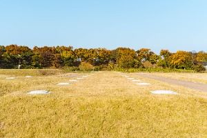 경주 인왕동 사지