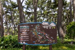 대왕암공원 (3) 미리보기