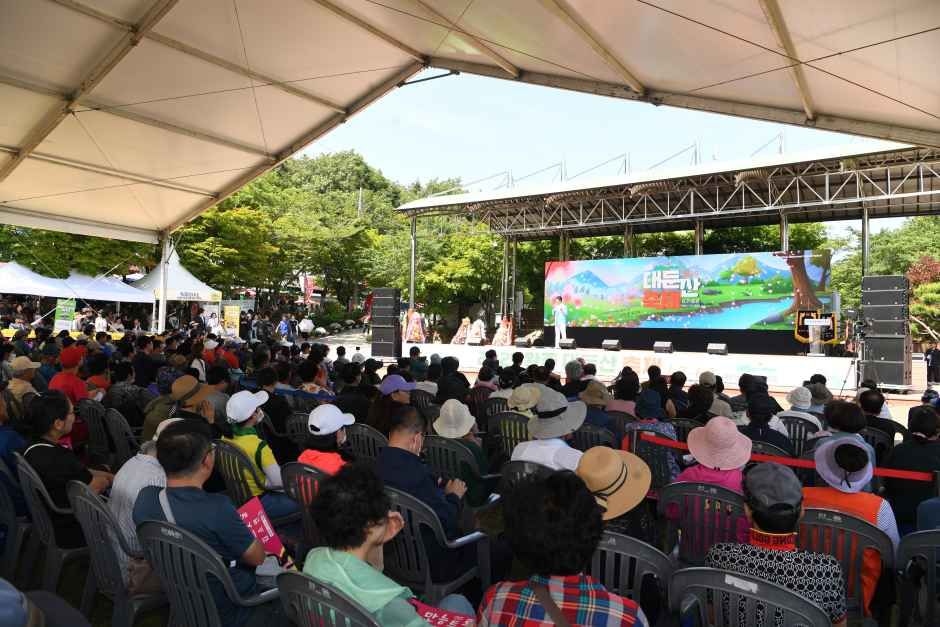 완주 대둔산 축제