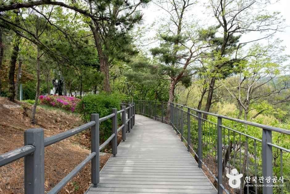 인왕산 무무대 전망대