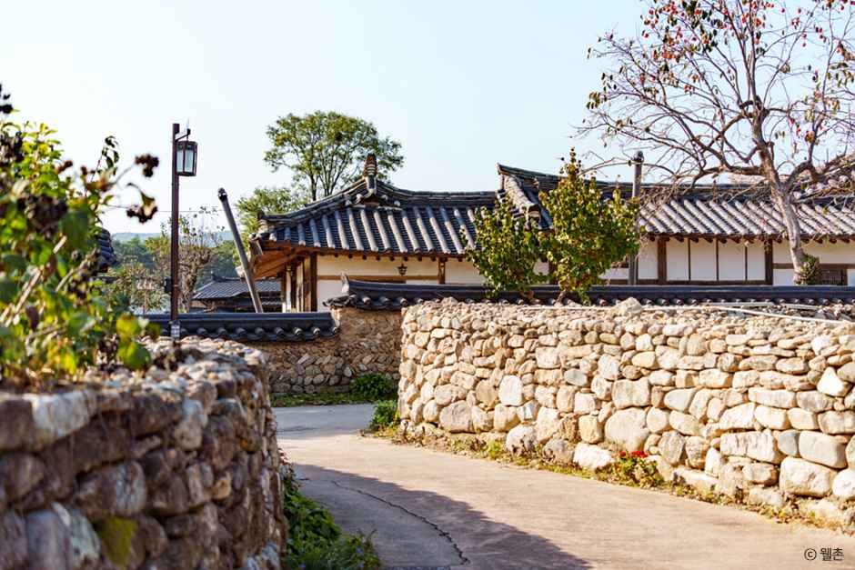 예천 금당실마을