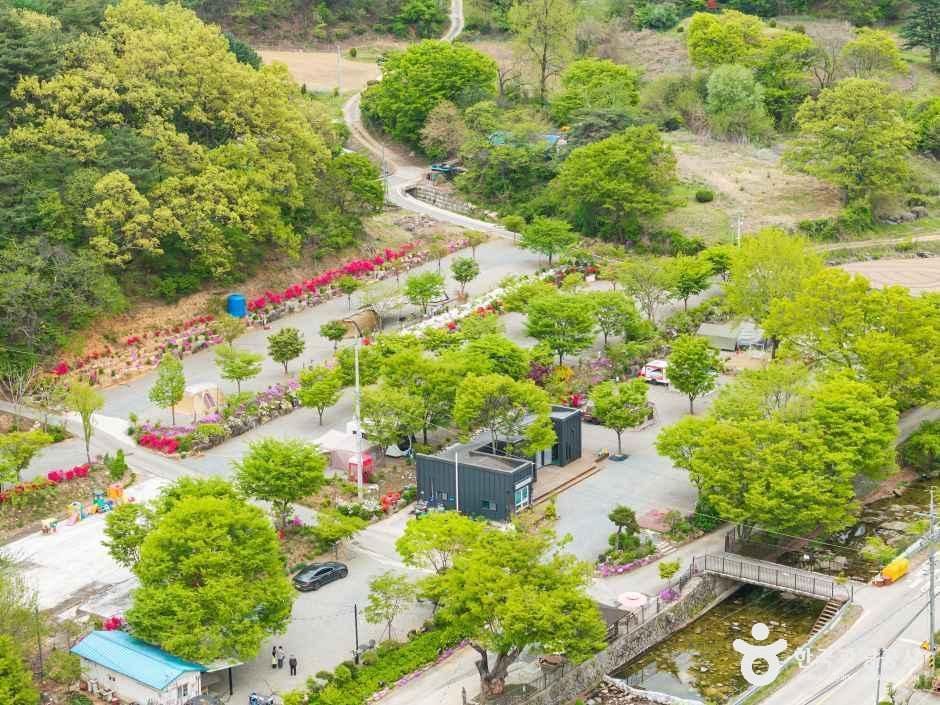 괴산 도명산 오토캠핑장